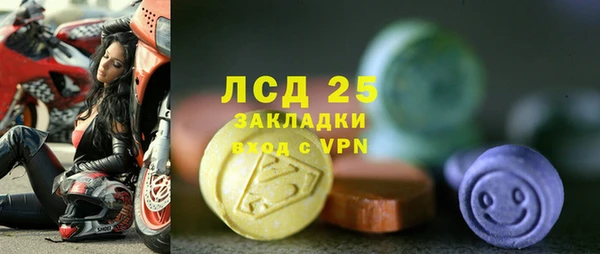 ПСИЛОЦИБИНОВЫЕ ГРИБЫ Алзамай