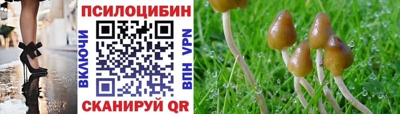 Псилоцибиновые грибы Magic Shrooms Среднеколымск